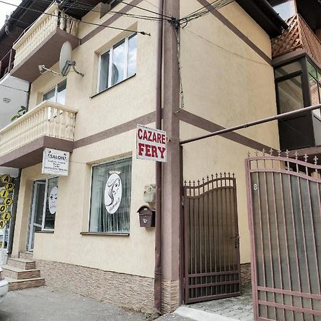 Băile Herculane Casa Feryヴィラ エクステリア 写真