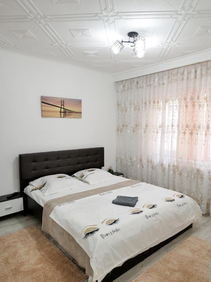 Băile Herculane Casa Feryヴィラ エクステリア 写真