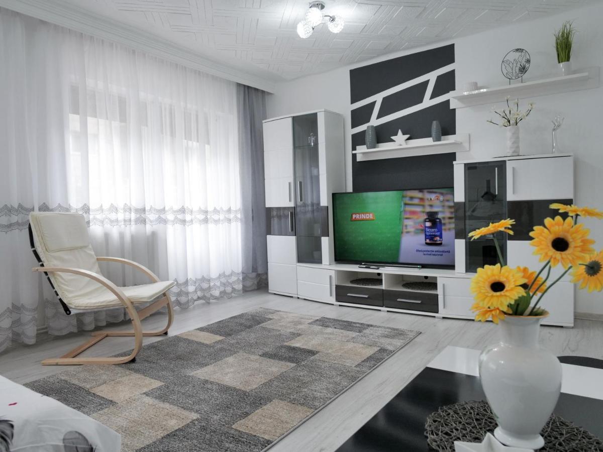 Băile Herculane Casa Feryヴィラ エクステリア 写真