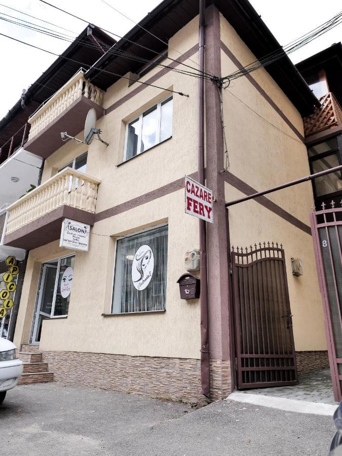 Băile Herculane Casa Feryヴィラ エクステリア 写真