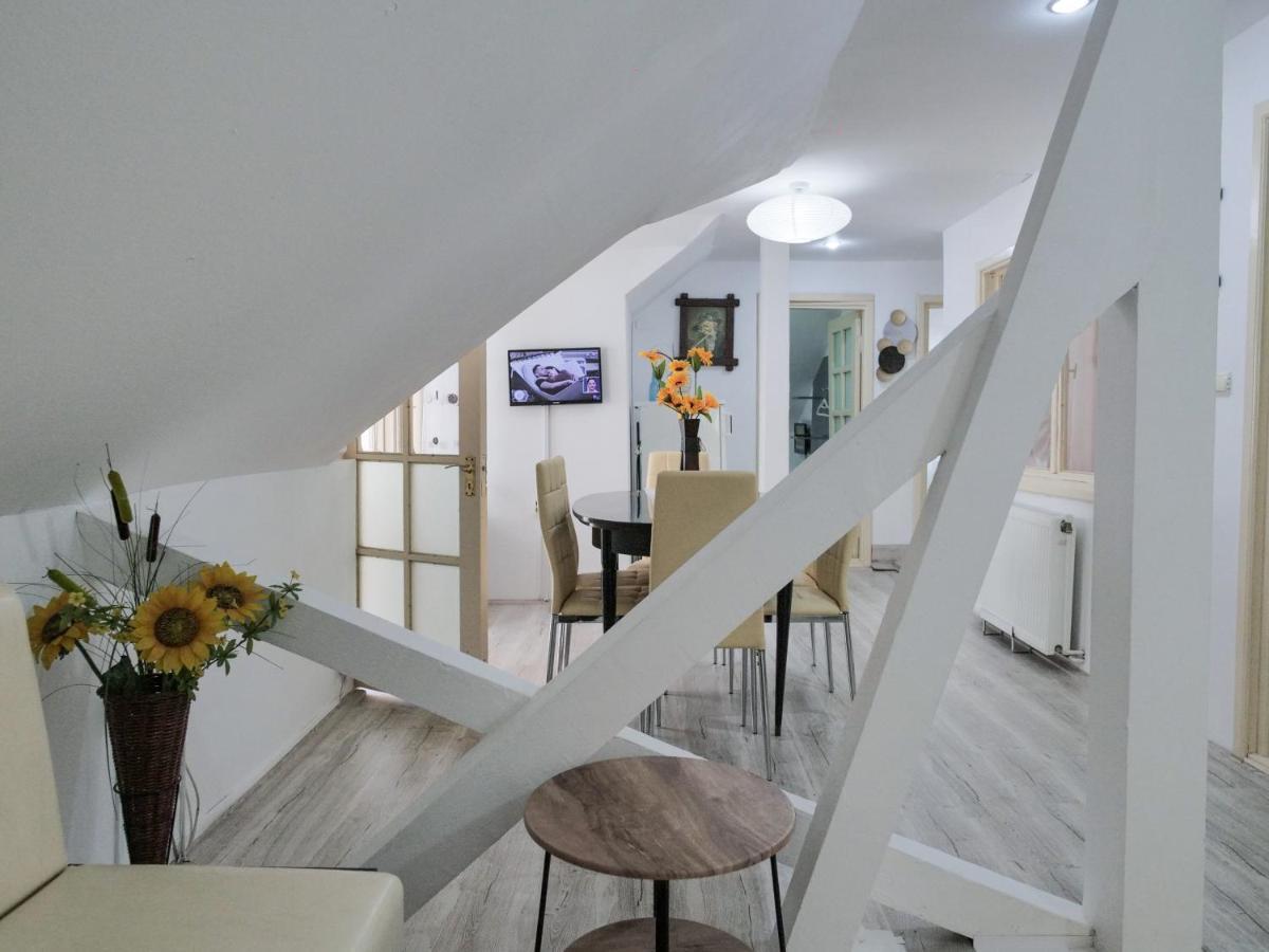Băile Herculane Casa Feryヴィラ エクステリア 写真