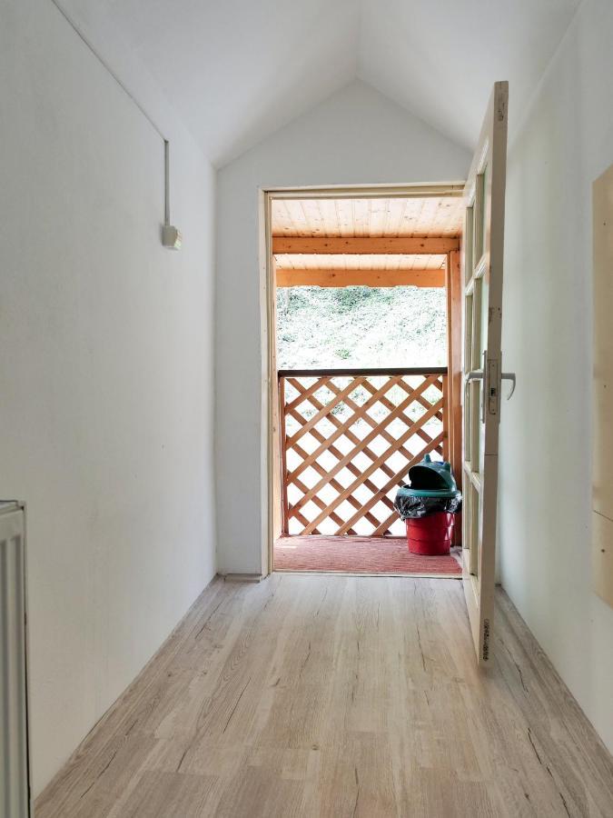 Băile Herculane Casa Feryヴィラ エクステリア 写真